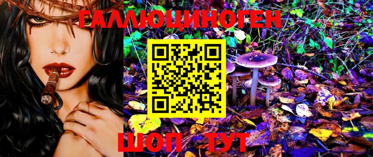 Псилоцибиновые грибы GOLDEN TEACHER  Псилоцибиновые грибы мухоморы  Малоярославец  Вход с VPN 