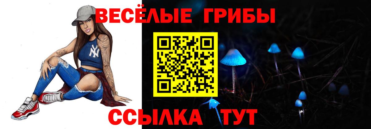Псилоцибиновые грибы мицелий Малоярославец